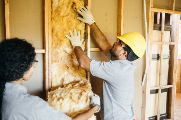 Best Garage Insulation  in St Joseph, MI